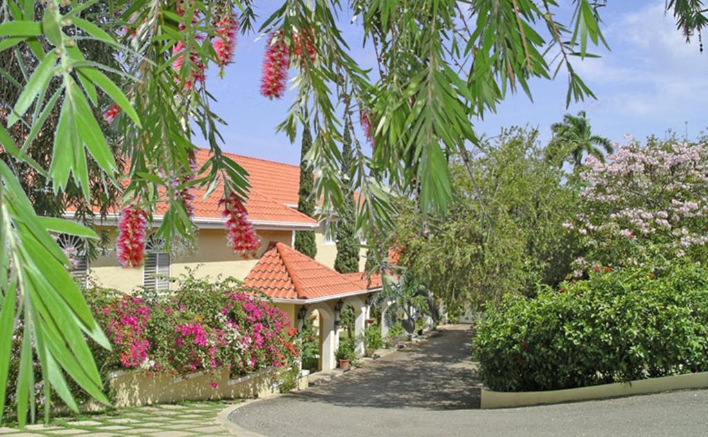 Polkerris Bed&Breakfast Montego Bay Exterior foto