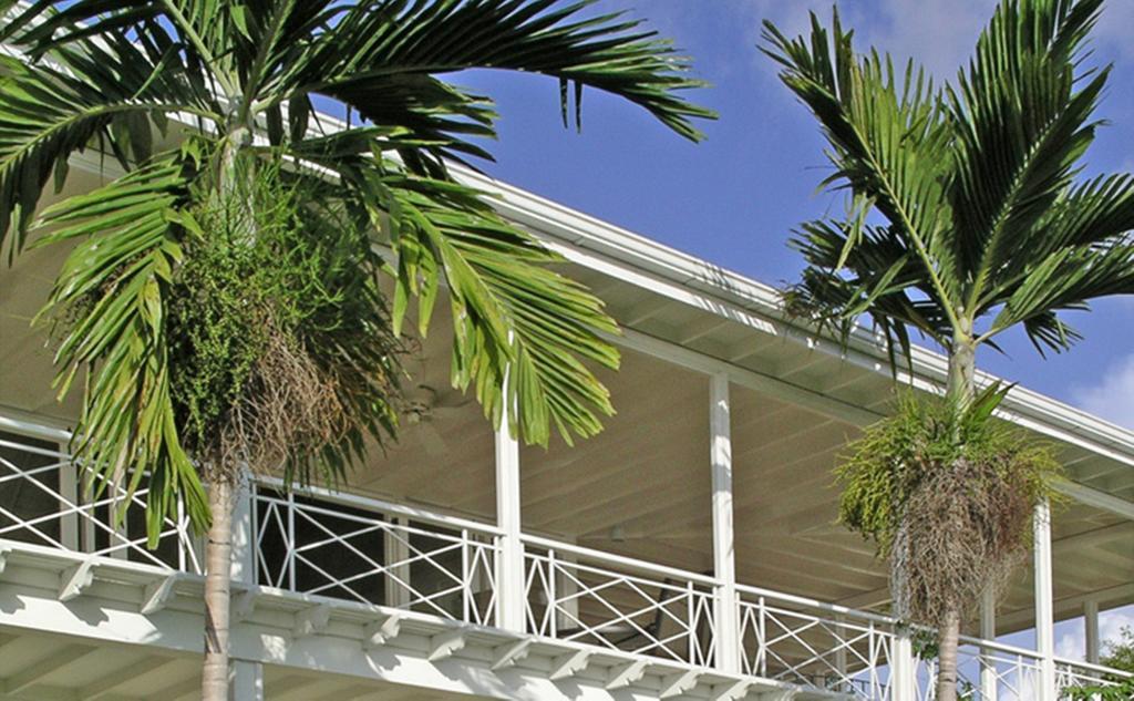 Polkerris Bed&Breakfast Montego Bay Exterior foto